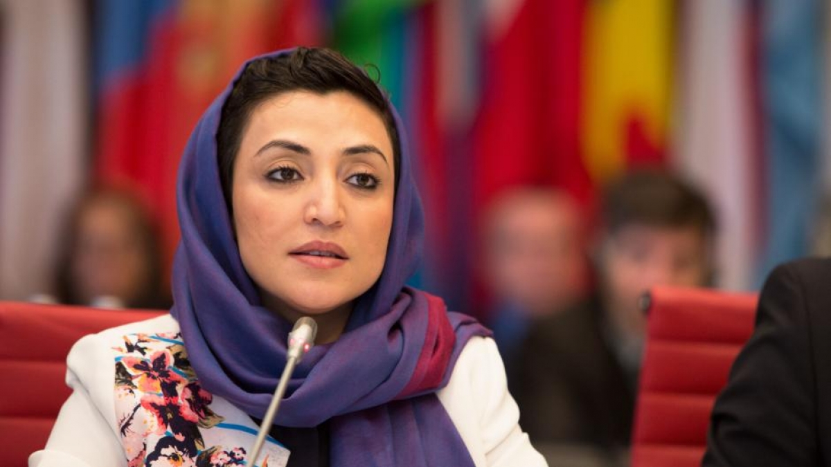 The Permanent Representative of Afghanistan to UN Is Appointed As Coordinator of COVID-19-Related Initiatives for UNGA