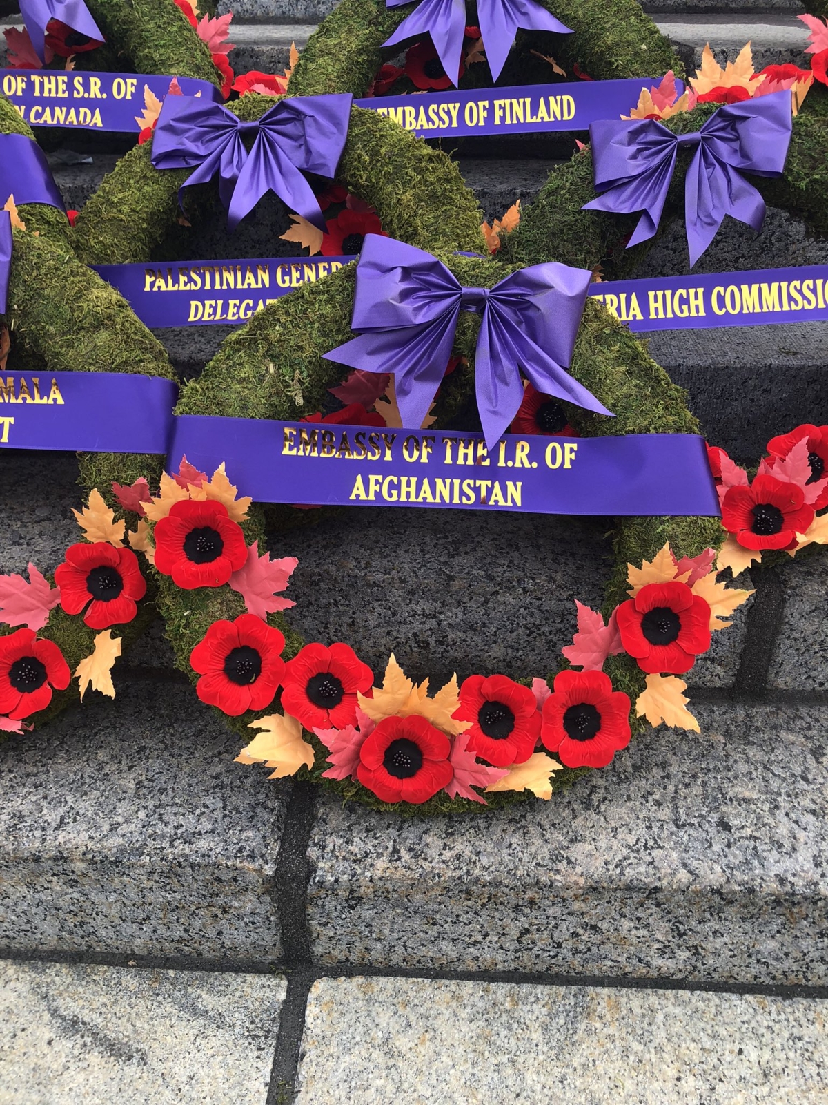 AMBASSADOR HASSAN SOROOSH'S MESSAGE ON THE REMEMBRANCE DAY