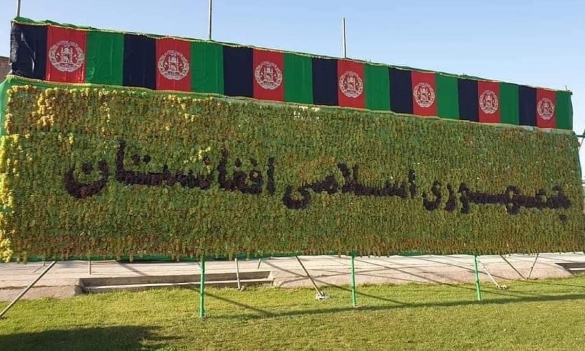 The Annual Grapes Festival was Inaugurated in Afghanistan